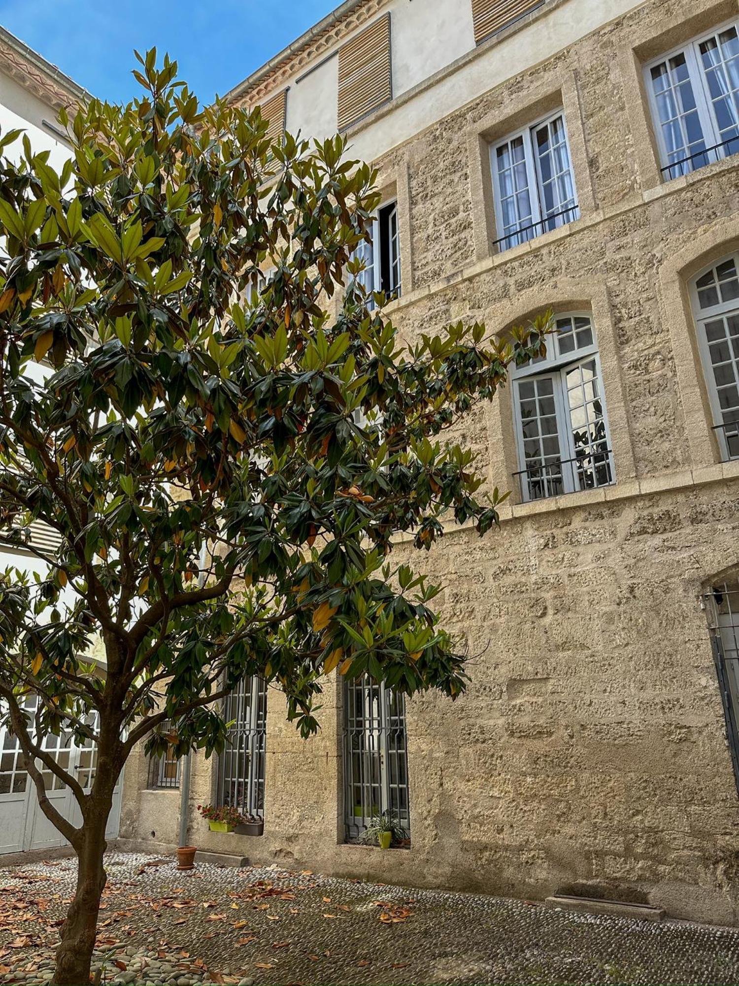 L Anatole Hyper Centre Calme Sur Cour Apartment Pezenas